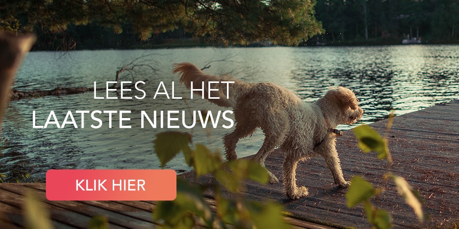 lees ons blog