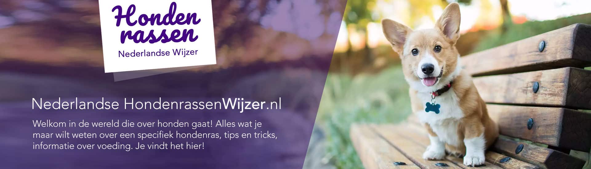 banner hondenrassen