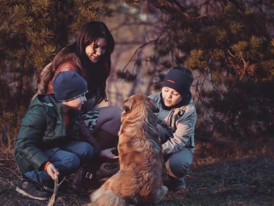 kind leren omgaan met hond