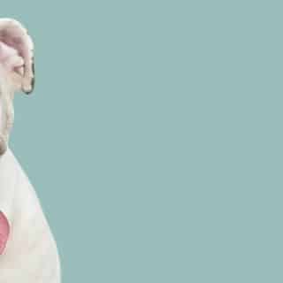 s69-ted4687-jj-4-m_1